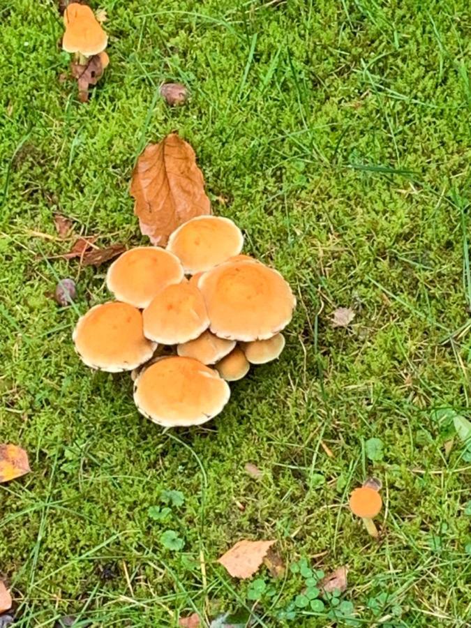 Vosseveen 62 Zelhem Exteriör bild